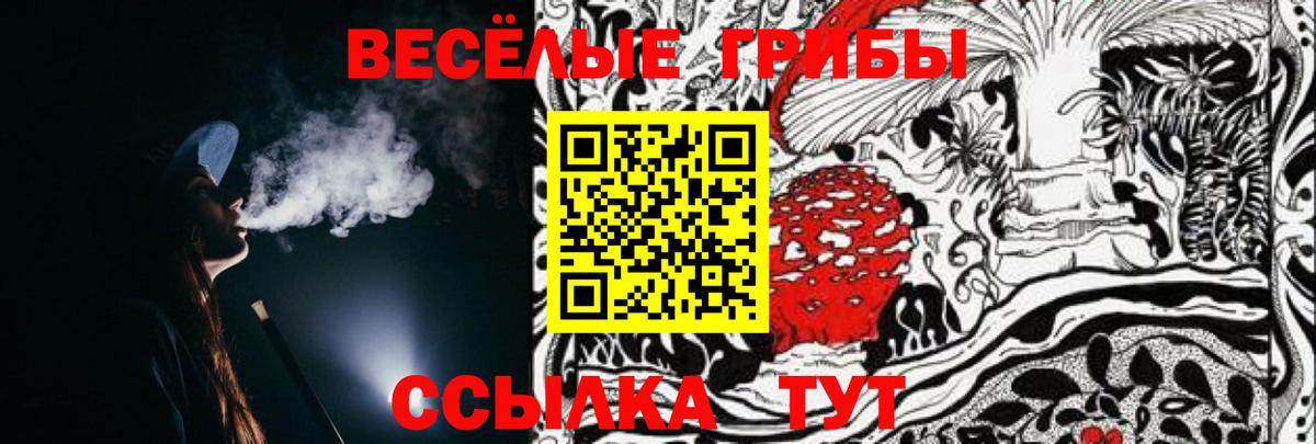 Псилоцибиновые грибы GOLDEN TEACHER Кызыл