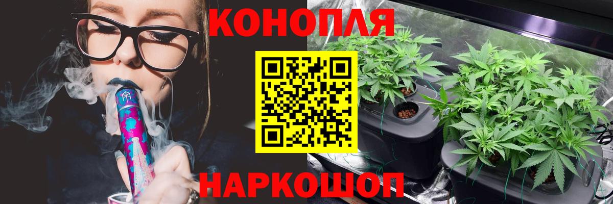 Бошки марихуана THC 21%  Конопля индика  Бошки Шишки марихуана  Канабис конопля  Кызыл  Вход с VPN 